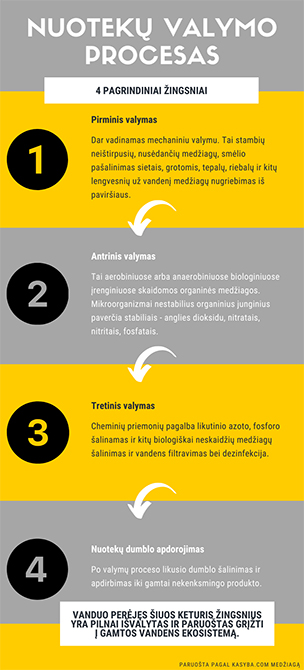 infografikas-11.jpg